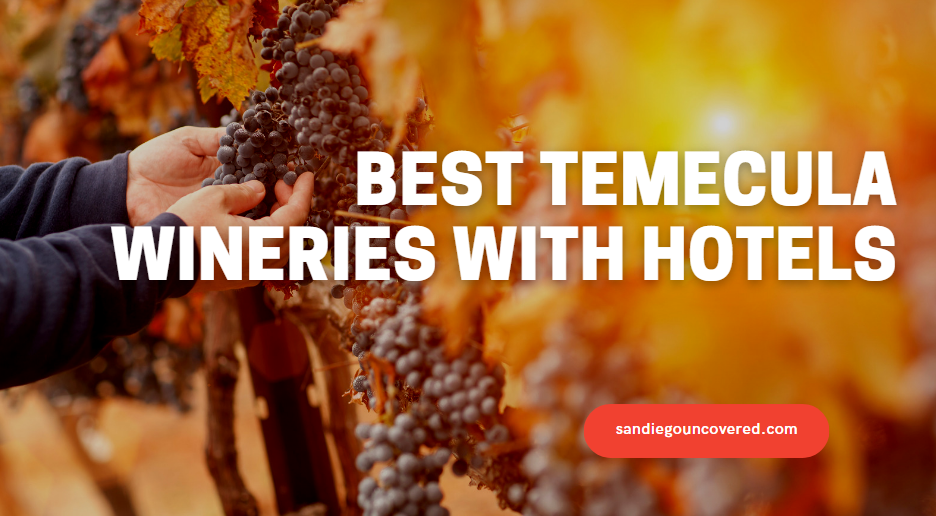 Best Temecula Wines